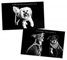 Load image into Gallery viewer, Postcard Books - "Inside a Tahoe Dog's Mind"