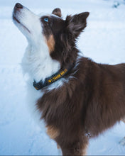Load image into Gallery viewer, Collar - Tahoe Dog Co. "Classic"
