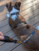 Load image into Gallery viewer, Collar - Tahoe Dog Co. "Classic"
