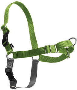 Easy Walk Harness