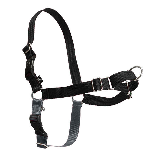 Easy Walk Harness