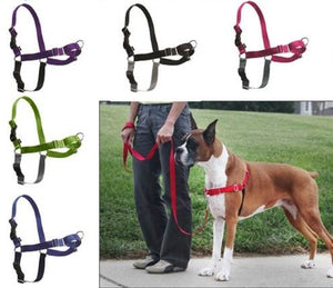 Easy Walk Harness