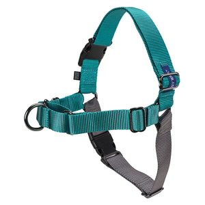 Easy Walk Harness