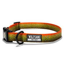 Load image into Gallery viewer, BrookTrout Dog Collars &amp; Leashes by Wolfgang
