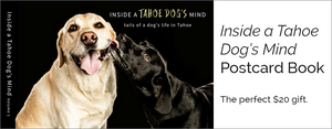 Postcard Books - "Inside a Tahoe Dog's Mind"