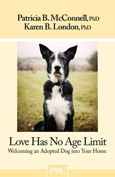 Love Has No Age Limit - Book