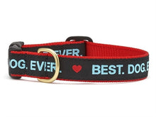 Load image into Gallery viewer, Best. Dog. Ever. Collection - Collars &amp; Leashes
